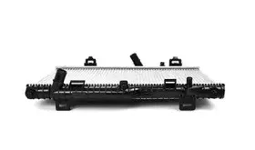 BSG 30-520-021 BSG Радиатор, охлаждение двигателя